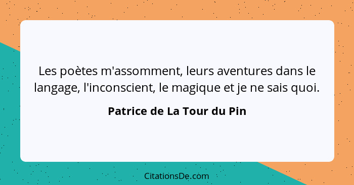 Les poètes m'assomment, leurs aventures dans le langage, l'inconscient, le magique et je ne sais quoi.... - Patrice de La Tour du Pin