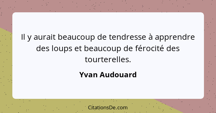 Il y aurait beaucoup de tendresse à apprendre des loups et beaucoup de férocité des tourterelles.... - Yvan Audouard