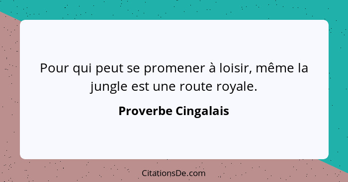 Pour qui peut se promener à loisir, même la jungle est une route royale.... - Proverbe Cingalais