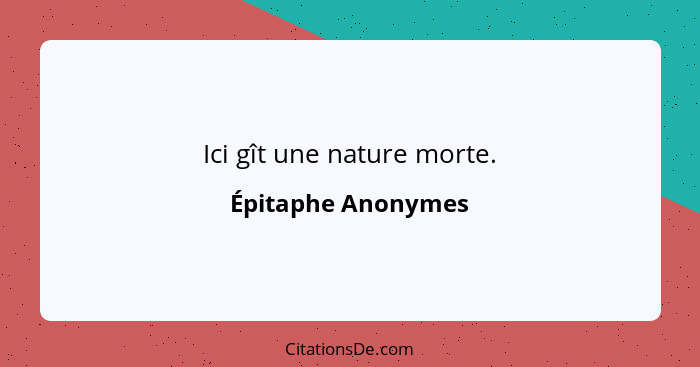 Ici gît une nature morte.... - Épitaphe Anonymes