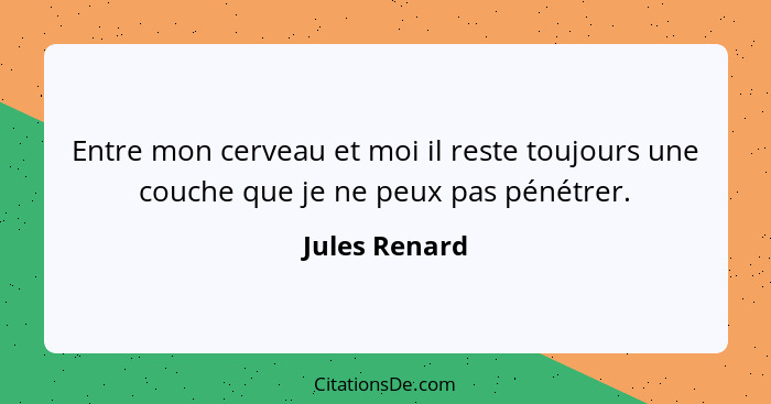 Entre mon cerveau et moi il reste toujours une couche que je ne peux pas pénétrer.... - Jules Renard