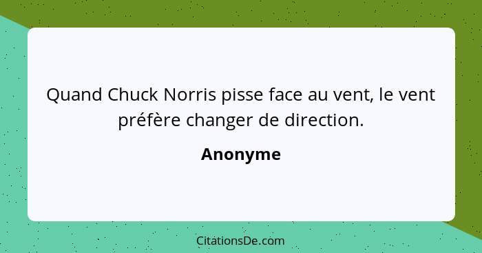 Quand Chuck Norris pisse face au vent, le vent préfère changer de direction.... - Anonyme