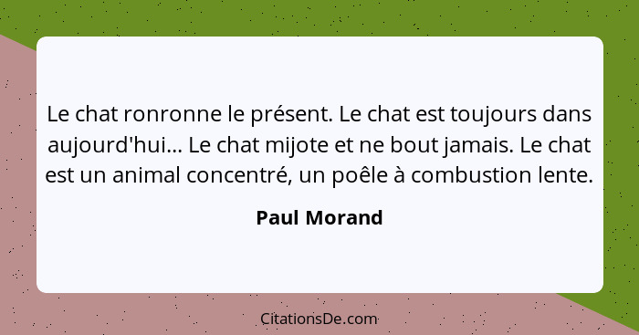 Le chat ronronne le présent. Le chat est toujours dans aujourd'hui... Le chat mijote et ne bout jamais. Le chat est un animal concentré,... - Paul Morand