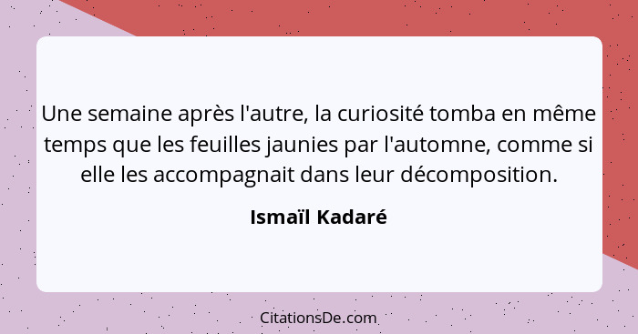 Une semaine après l'autre, la curiosité tomba en même temps que les feuilles jaunies par l'automne, comme si elle les accompagnait dan... - Ismaïl Kadaré