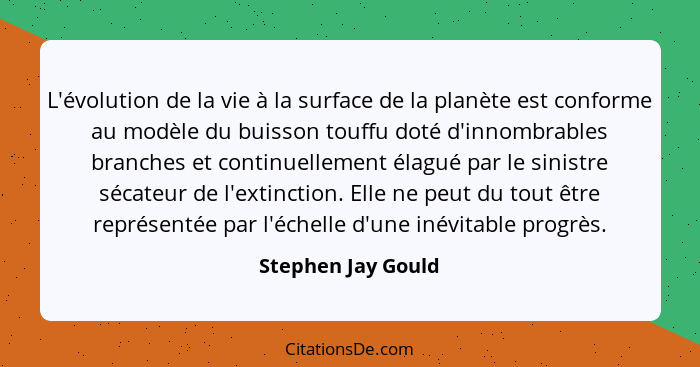 L'évolution de la vie à la surface de la planète est conforme au modèle du buisson touffu doté d'innombrables branches et continue... - Stephen Jay Gould