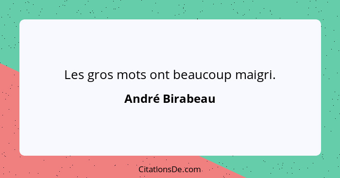 Les gros mots ont beaucoup maigri.... - André Birabeau