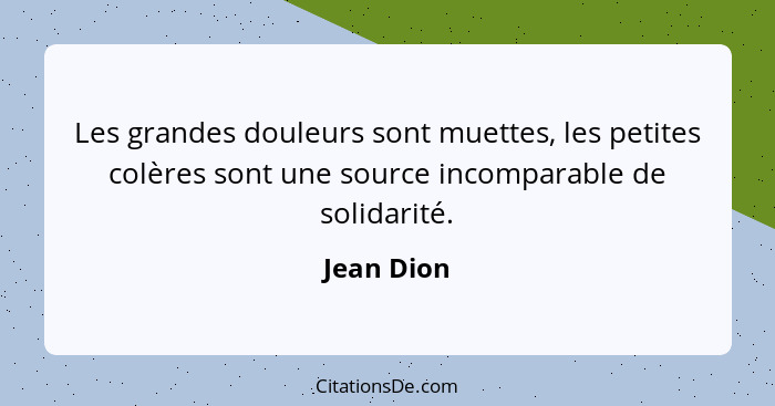 Les grandes douleurs sont muettes, les petites colères sont une source incomparable de solidarité.... - Jean Dion