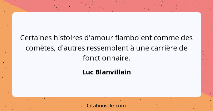 Certaines histoires d'amour flamboient comme des comètes, d'autres ressemblent à une carrière de fonctionnaire.... - Luc Blanvillain