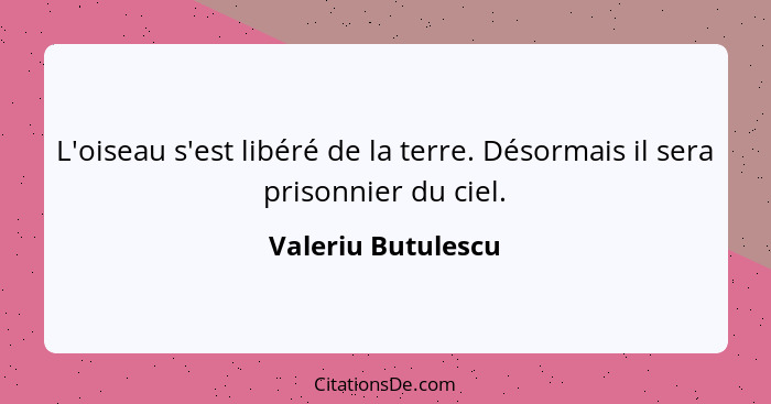 L'oiseau s'est libéré de la terre. Désormais il sera prisonnier du ciel.... - Valeriu Butulescu