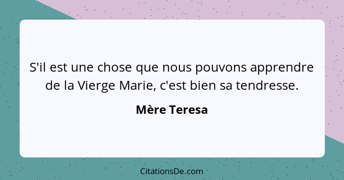 S'il est une chose que nous pouvons apprendre de la Vierge Marie, c'est bien sa tendresse.... - Mère Teresa