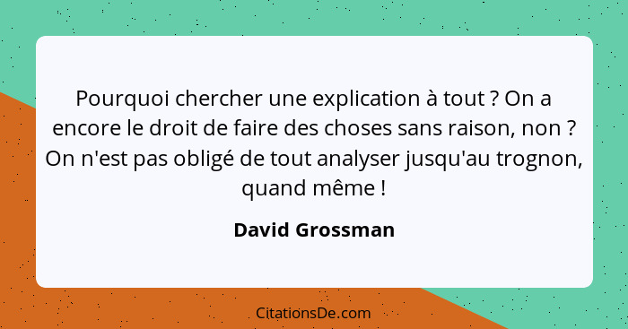 Pourquoi chercher une explication à tout ? On a encore le droit de faire des choses sans raison, non ? On n'est pas obligé... - David Grossman