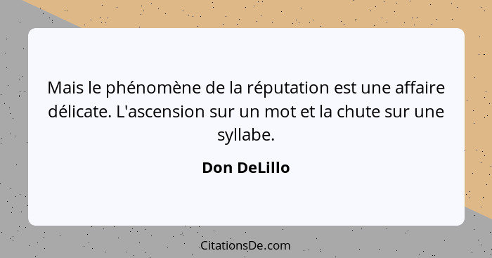 Mais le phénomène de la réputation est une affaire délicate. L'ascension sur un mot et la chute sur une syllabe.... - Don DeLillo