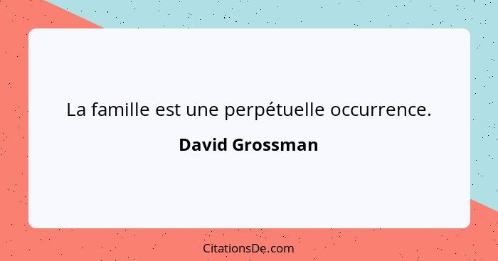 La famille est une perpétuelle occurrence.... - David Grossman