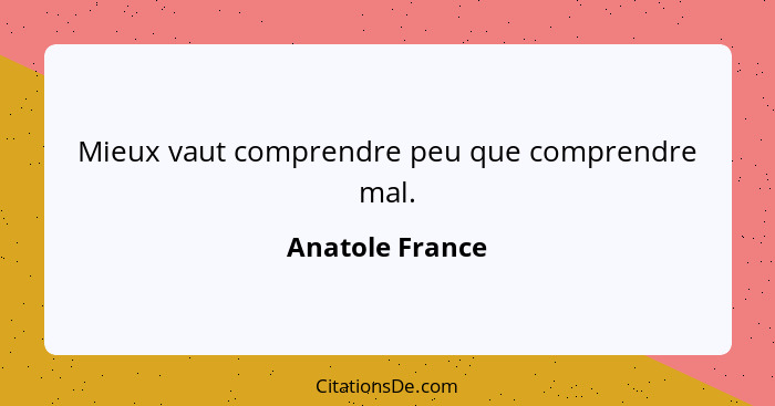 Mieux vaut comprendre peu que comprendre mal.... - Anatole France