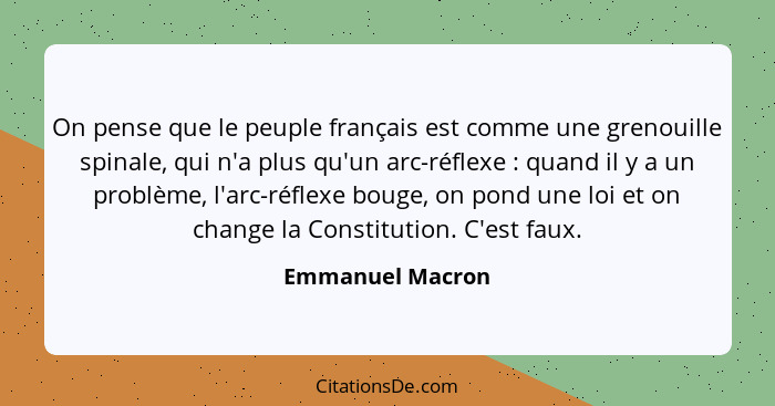 On pense que le peuple français est comme une grenouille spinale, qui n'a plus qu'un arc-réflexe : quand il y a un problème, l'... - Emmanuel Macron
