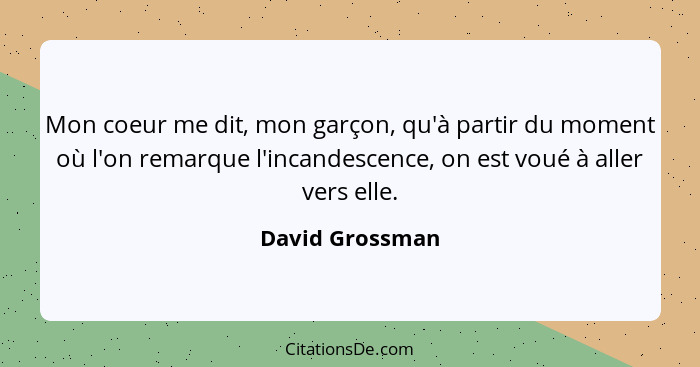 Mon coeur me dit, mon garçon, qu'à partir du moment où l'on remarque l'incandescence, on est voué à aller vers elle.... - David Grossman