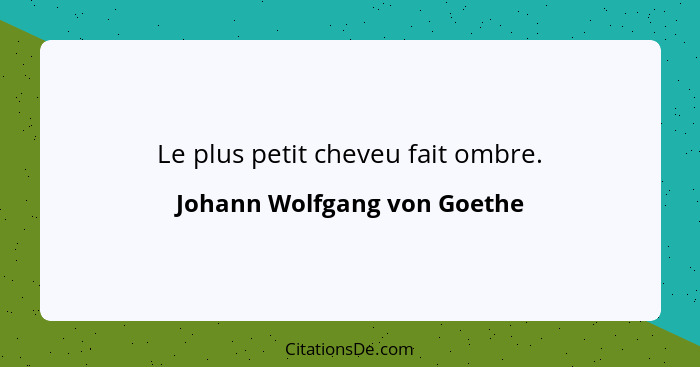 Le plus petit cheveu fait ombre.... - Johann Wolfgang von Goethe
