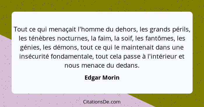 Tout ce qui menaçait l'homme du dehors, les grands périls, les ténèbres nocturnes, la faim, la soif, les fantômes, les génies, les démon... - Edgar Morin