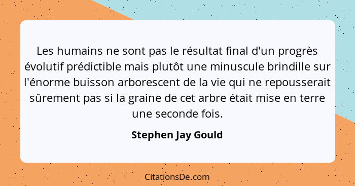 Les humains ne sont pas le résultat final d'un progrès évolutif prédictible mais plutôt une minuscule brindille sur l'énorme buiss... - Stephen Jay Gould