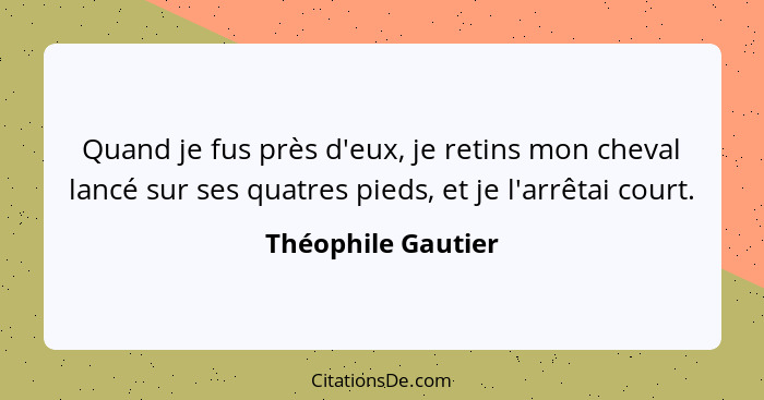 Quand je fus près d'eux, je retins mon cheval lancé sur ses quatres pieds, et je l'arrêtai court.... - Théophile Gautier