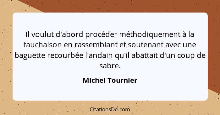 Il voulut d'abord procéder méthodiquement à la fauchaison en rassemblant et soutenant avec une baguette recourbée l'andain qu'il aba... - Michel Tournier