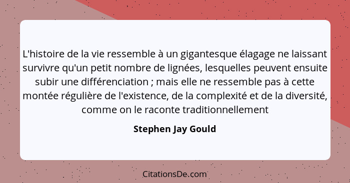 L'histoire de la vie ressemble à un gigantesque élagage ne laissant survivre qu'un petit nombre de lignées, lesquelles peuvent ens... - Stephen Jay Gould