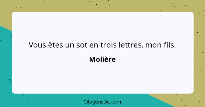 Vous êtes un sot en trois lettres, mon fils.... - Molière