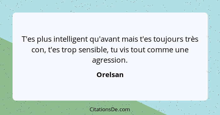 T'es plus intelligent qu'avant mais t'es toujours très con, t'es trop sensible, tu vis tout comme une agression.... - Orelsan