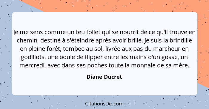 Je me sens comme un feu follet qui se nourrit de ce qu'il trouve en chemin, destiné à s'éteindre après avoir brillé. Je suis la brindil... - Diane Ducret