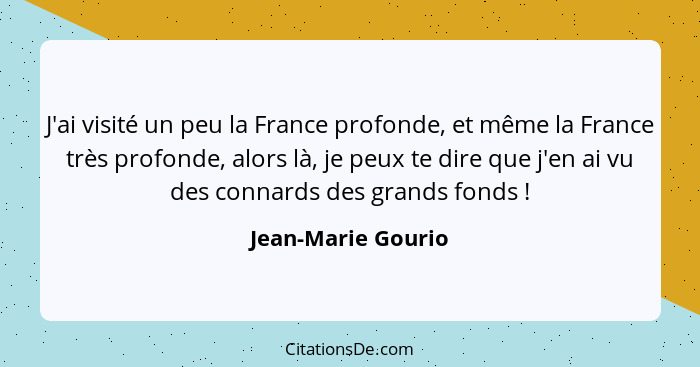 J'ai visité un peu la France profonde, et même la France très profonde, alors là, je peux te dire que j'en ai vu des connards des... - Jean-Marie Gourio