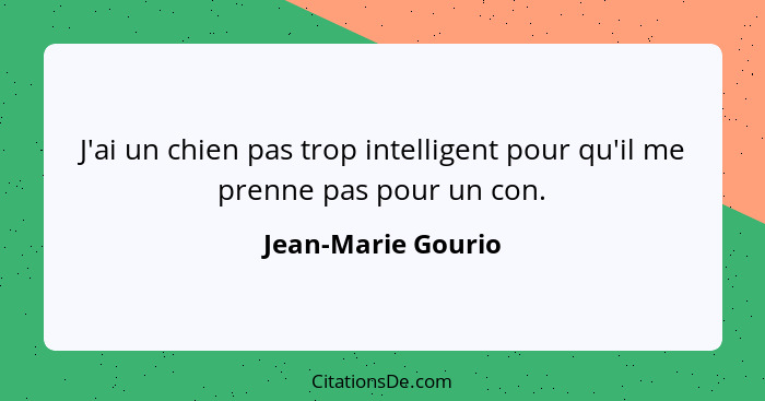 J'ai un chien pas trop intelligent pour qu'il me prenne pas pour un con.... - Jean-Marie Gourio