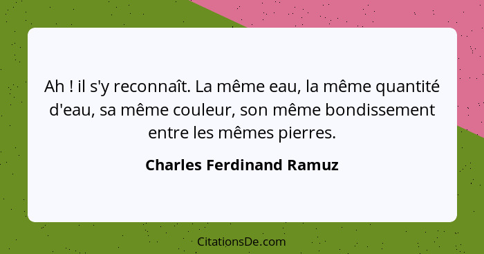 Ah ! il s'y reconnaît. La même eau, la même quantité d'eau, sa même couleur, son même bondissement entre les mêmes pier... - Charles Ferdinand Ramuz