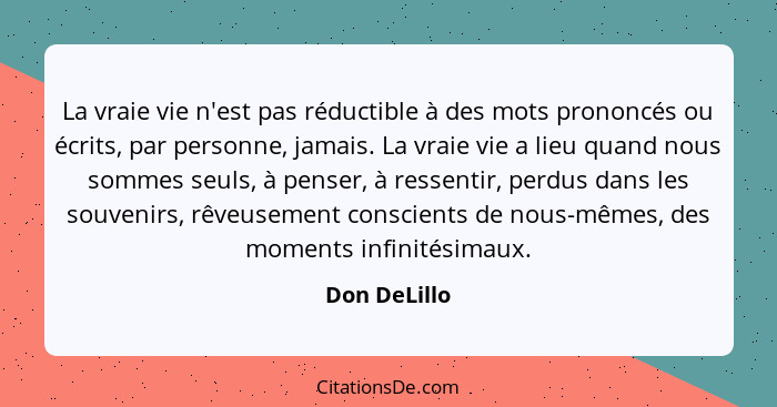 La vraie vie n'est pas réductible à des mots prononcés ou écrits, par personne, jamais. La vraie vie a lieu quand nous sommes seuls, à p... - Don DeLillo