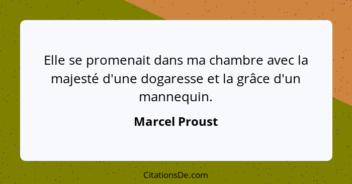 Elle se promenait dans ma chambre avec la majesté d'une dogaresse et la grâce d'un mannequin.... - Marcel Proust