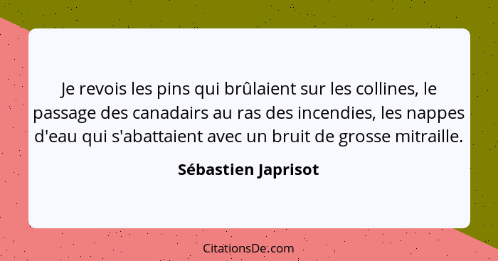 Je revois les pins qui brûlaient sur les collines, le passage des canadairs au ras des incendies, les nappes d'eau qui s'abattaie... - Sébastien Japrisot