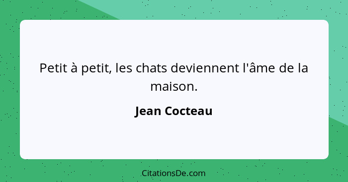 Petit à petit, les chats deviennent l'âme de la maison.... - Jean Cocteau