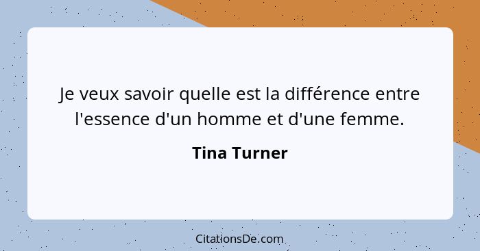 Je veux savoir quelle est la différence entre l'essence d'un homme et d'une femme.... - Tina Turner