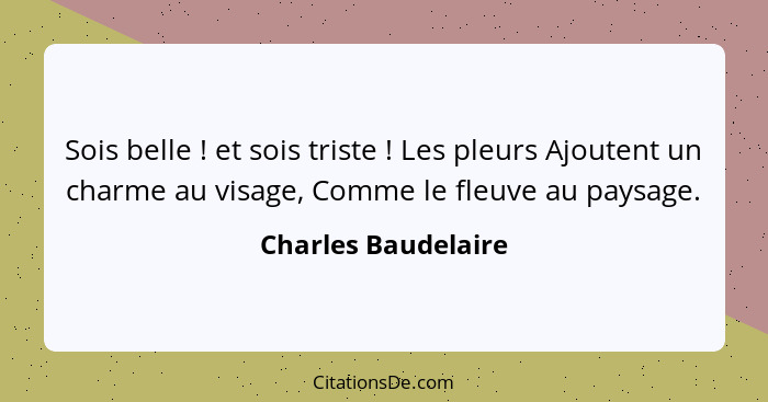 Sois belle ! et sois triste ! Les pleurs Ajoutent un charme au visage, Comme le fleuve au paysage.... - Charles Baudelaire