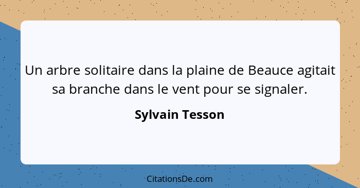 Un arbre solitaire dans la plaine de Beauce agitait sa branche dans le vent pour se signaler.... - Sylvain Tesson