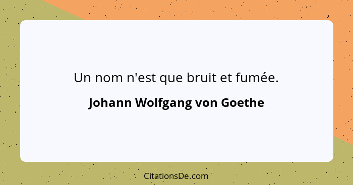 Un nom n'est que bruit et fumée.... - Johann Wolfgang von Goethe