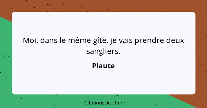 Moi, dans le même gîte, je vais prendre deux sangliers.... - Plaute