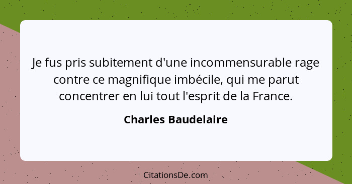 Je fus pris subitement d'une incommensurable rage contre ce magnifique imbécile, qui me parut concentrer en lui tout l'esprit de... - Charles Baudelaire