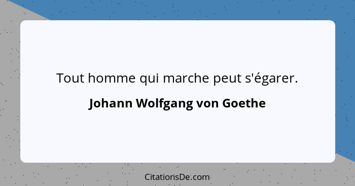 Tout homme qui marche peut s'égarer.... - Johann Wolfgang von Goethe