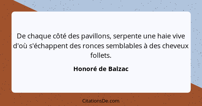 De chaque côté des pavillons, serpente une haie vive d'où s'échappent des ronces semblables à des cheveux follets.... - Honoré de Balzac