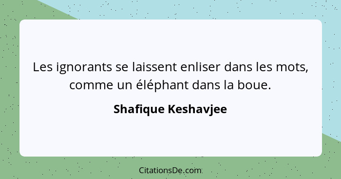 Les ignorants se laissent enliser dans les mots, comme un éléphant dans la boue.... - Shafique Keshavjee
