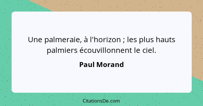 Une palmeraie, à l'horizon ; les plus hauts palmiers écouvillonnent le ciel.... - Paul Morand