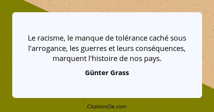 Le racisme, le manque de tolérance caché sous l'arrogance, les guerres et leurs conséquences, marquent l'histoire de nos pays.... - Günter Grass