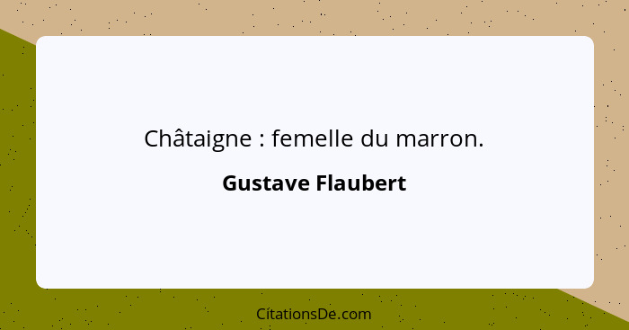 Châtaigne : femelle du marron.... - Gustave Flaubert