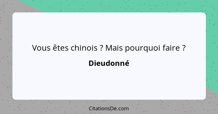 Vous êtes chinois ? Mais pourquoi faire ?... - Dieudonné