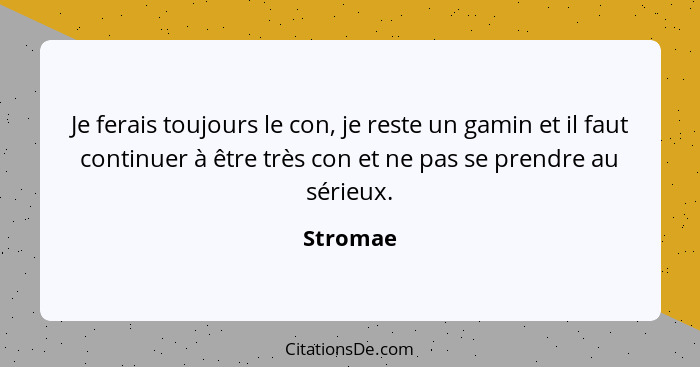 Je ferais toujours le con, je reste un gamin et il faut continuer à être très con et ne pas se prendre au sérieux.... - Stromae